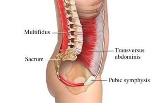 Improve Core Stability by Activating Your Transverse Abdominis